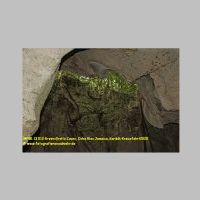 38581 13 012 Green Grotto Caves, Ocho Rios Jamaica, Karibik-Kreuzfahrt 2020.JPG